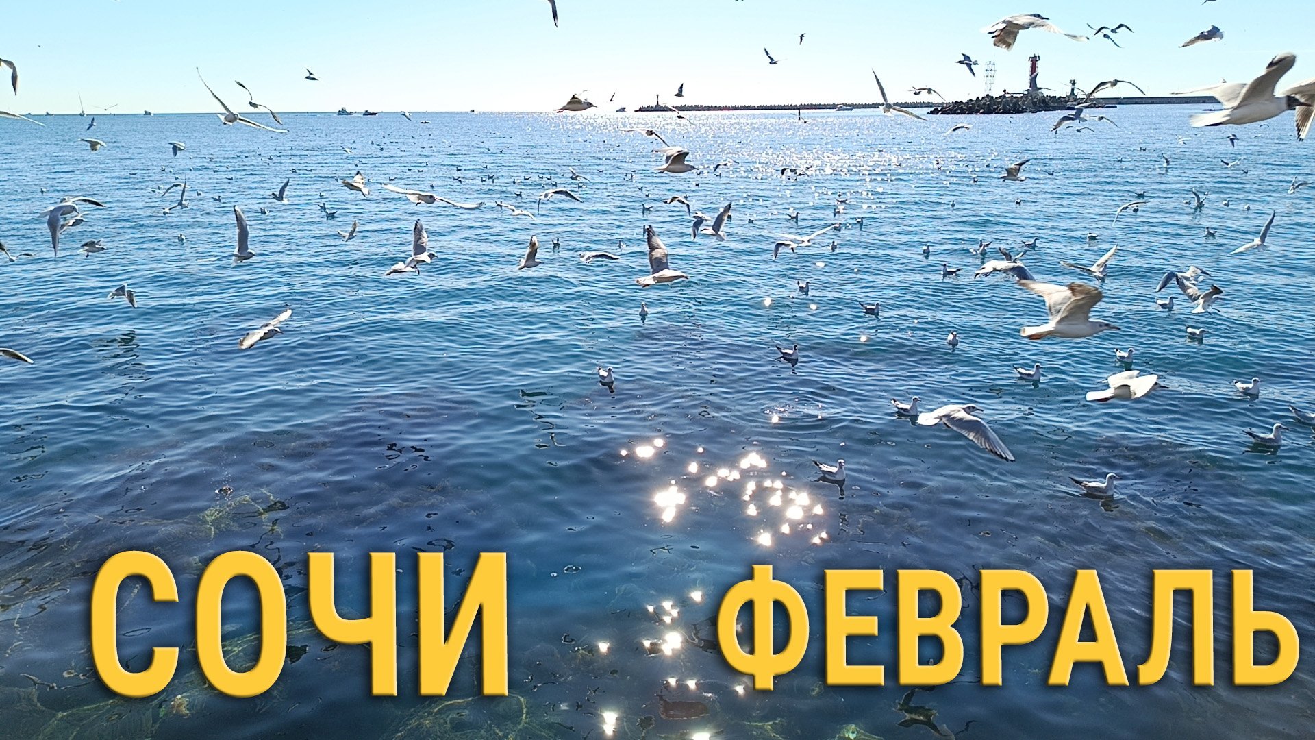 Сочи в феврале 2024! Прогулка по набережной Сочи последние числа февраля! смотреть онлайн