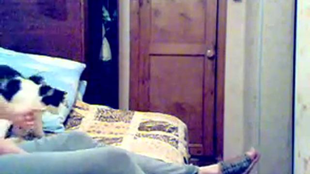 бася-лучший кот в мире.mp4