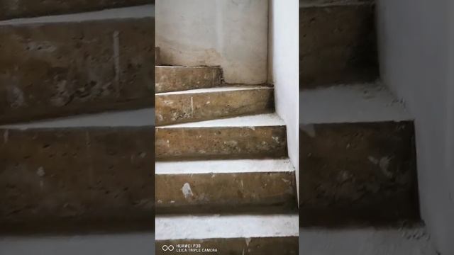 штукатурка стен 600 кв.м в доме Сочи, ул. Вишнёвая смотреть онлайн