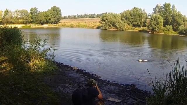 Лунтик подача с воды смотреть онлайн