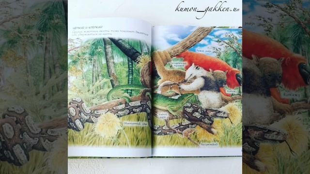 Видеообзор книги Зачем животным хвост? смотреть онлайн