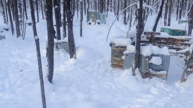 Тактический пейнтбол, 3-ий бой (Виталя не затащил) смотреть онлайн