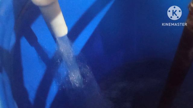 мешалка для размешивания ядов смотреть онлайн