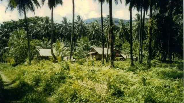 To Papua New Guinea and Solomon Islands 2/10 смотреть онлайн