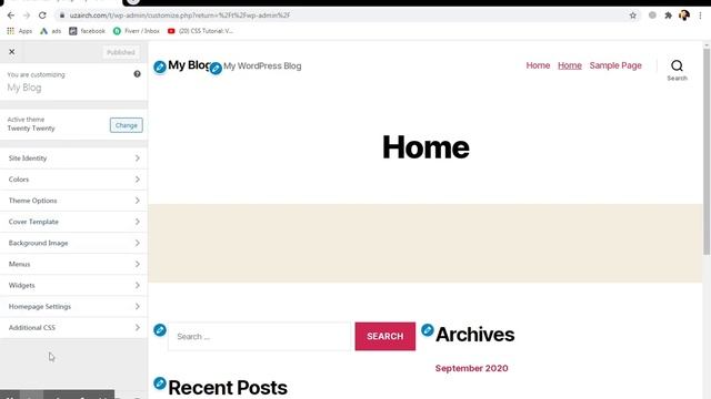 How to add custom css in wordpress in Urdu/Hindi смотреть онлайн
