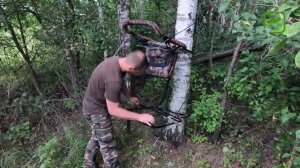 Подготовка засидки  на кабана.