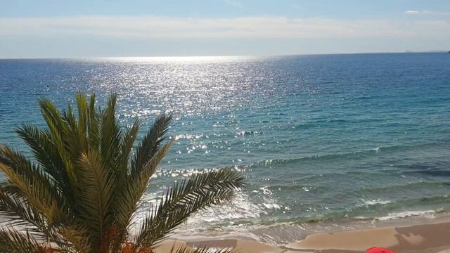 ЭТО БОМБА💣МУЖ СМОТРИТ КАЖДЫЙ ДЕНЬ🦧ДЕТИ ПРОСЯТ СНИМАТЬ ЕЩЕ🤸♂️🤸♀️