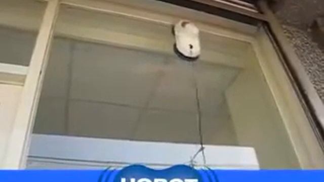 Робот-мойщик окон Hobot 168 видео | онлайн-гипермаркет 21 vek смотреть онлайн