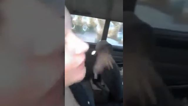 Печка на дровах в Жигулях. смотреть онлайн