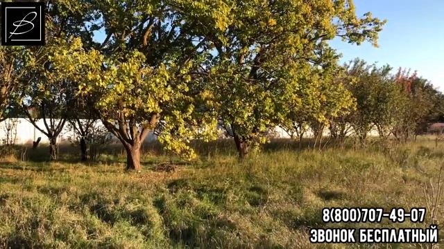 Участок в анапском районе. СОТ "Кубань" смотреть онлайн