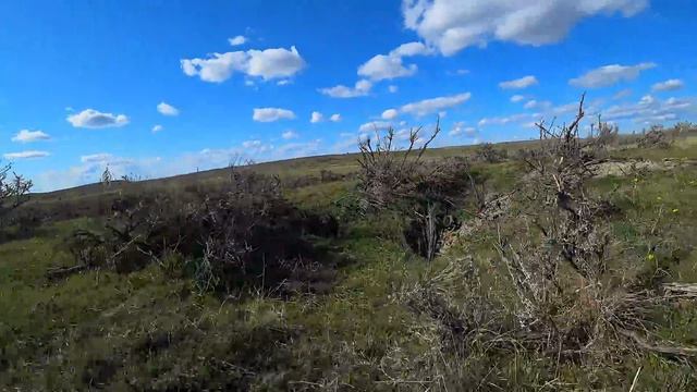 Rattlesnake Den in 4K смотреть онлайн