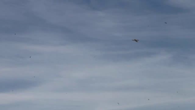 Макароныч-3_часть-1