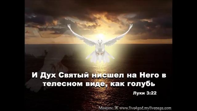 Пастор Олег Игнатюк "Корни здорового дерева" 5.01.2015 смотреть онлайн