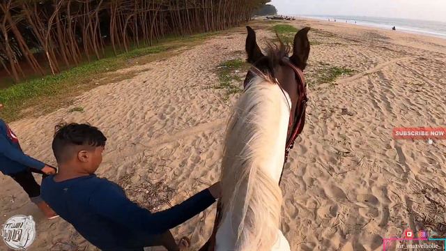 HOW TO RIDE HORSE | SIMPLE HORSES RIDING TECHNICS | HORSE RIDING CLUB | HOW TO GET ON TO HORSE | смотреть онлайн