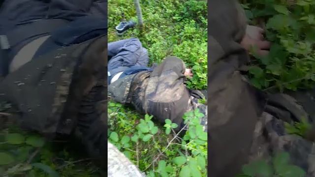 Медведь в спячке летом смотреть онлайн