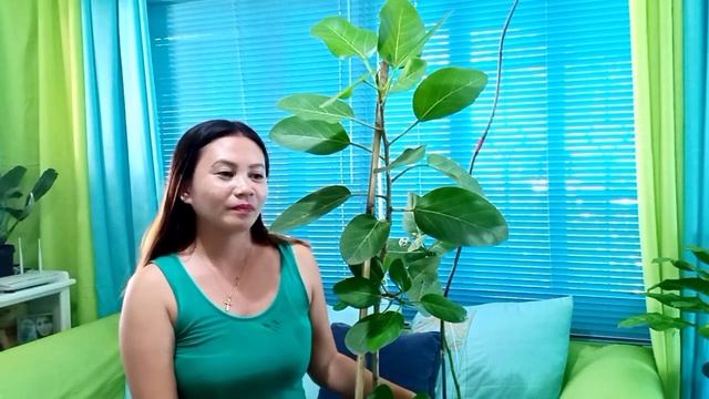 My wish list Plant Ficus Audrey/How to Repot Ficus Audrey/Tisay Collection смотреть онлайн