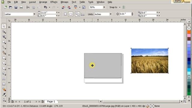 Inserting images in CorelDraw смотреть онлайн