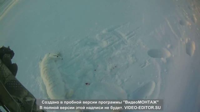 я свободен смотреть онлайн