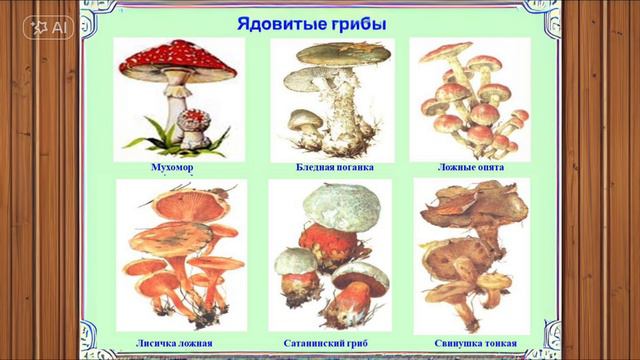 Познавательное занятие «Безопасность на природе" смотреть онлайн