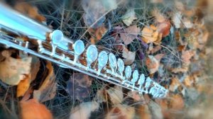 Осень, осень, листья пожелтели | piano, flute and sax