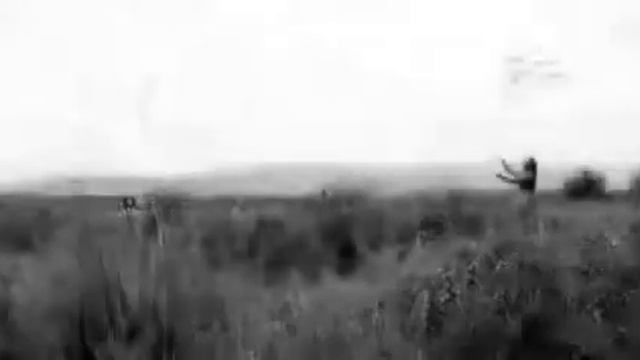 журавли.на Аварском. смотреть онлайн