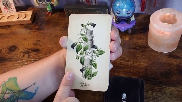 Memento Mori Oracle Unboxing and Flip Through смотреть онлайн