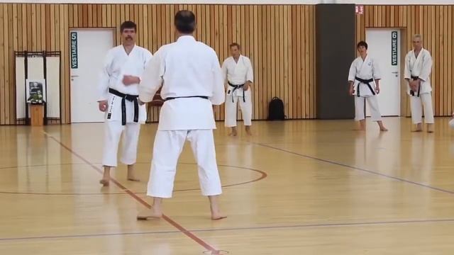Seminar Karate Shotokan - Shirai Sensei 2015 | Семинар по Шотокан Хироши Шираи