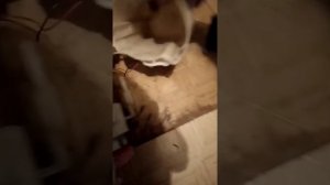 Замена регулятора давления топлива на калине, решение проблем рывков. Проблема с бензонасосом.