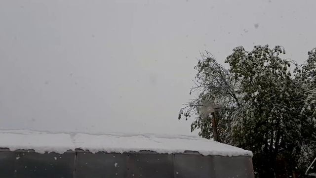 Весна на Алтае она такая, начало недели босиком, конец недели в зимних куртках. смотреть онлайн