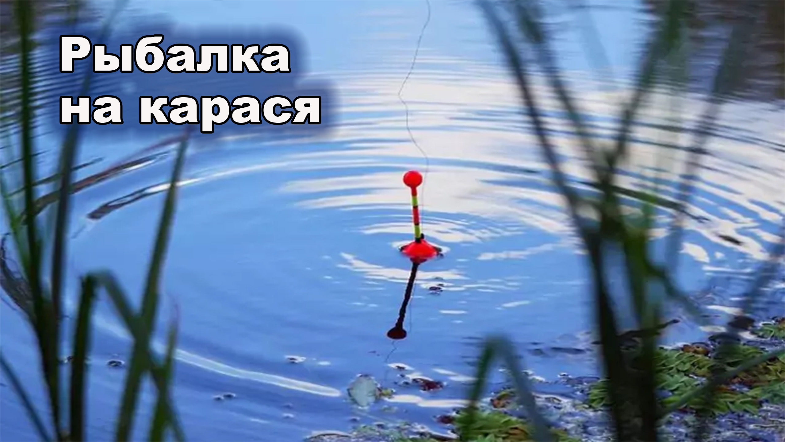 Рыбалка на карася смотреть онлайн