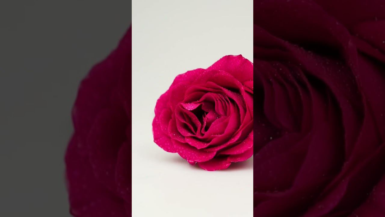 Забота о самом нежном #артлайф #любовь #shorts #рек смотреть онлайн