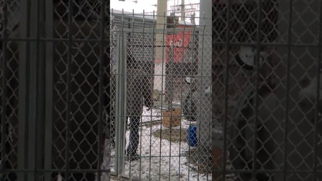 Гидравлические испытание сосудов под давлением смотреть онлайн