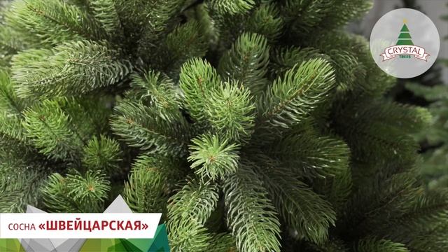 Сосна искусственная "Швейцарская" (литые ветки) смотреть онлайн