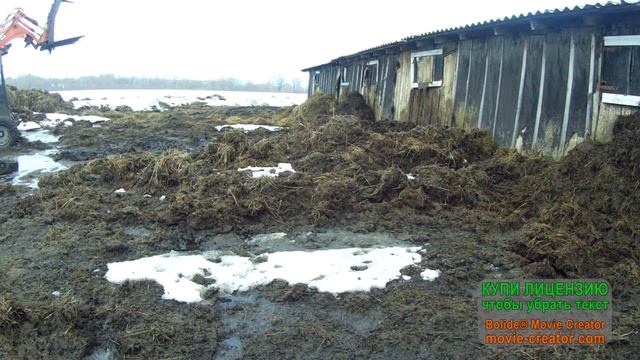 МЕСИМ ГРЯЗЬ НА МИНИПОГРУЗЧИКЕ (ПУМ 5оо) смотреть онлайн