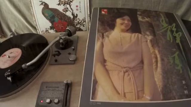靜婷 Tsin Ting -- a4 第二春 (The Second Spring) смотреть онлайн