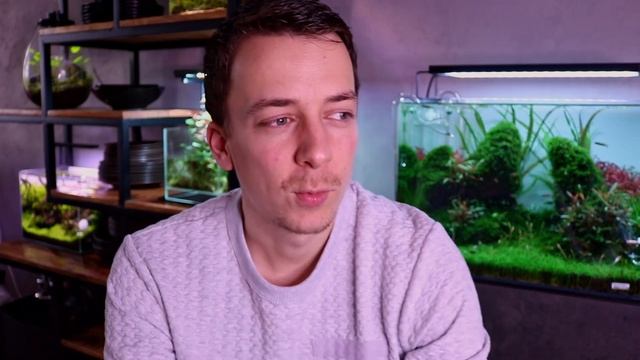 Hair Algae in Aquarium! THE ALGAE GUIDE EPISODE #6 смотреть онлайн