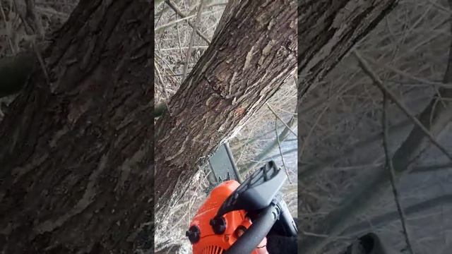 Мини бензопила сучкорез смотреть онлайн