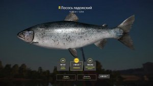 Русская рыбалка 4//р.Волхов-трофейный Лосось ладожский\\Russian Fishing 4