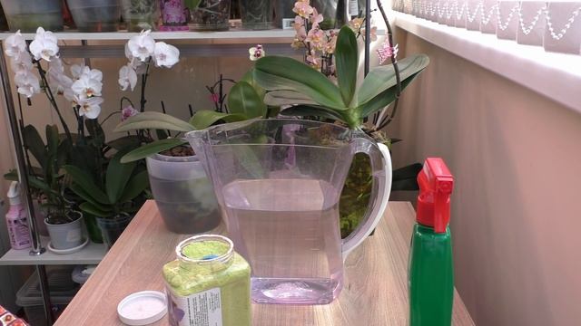 Орхидеи: полив для сохранения корней/ это УДОБРЕНИЕ ОЧЕНЬ понравилось моим орхидеям, а мне РЕЗУЛЬТА смотреть онлайн