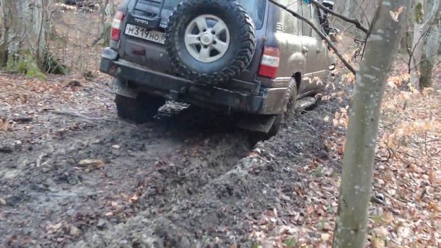 8,01,24 поездка в лес смотреть онлайн