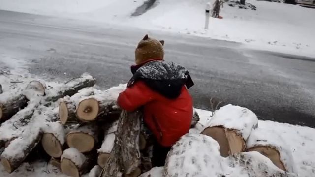 Abominable Snow Max moves wood смотреть онлайн