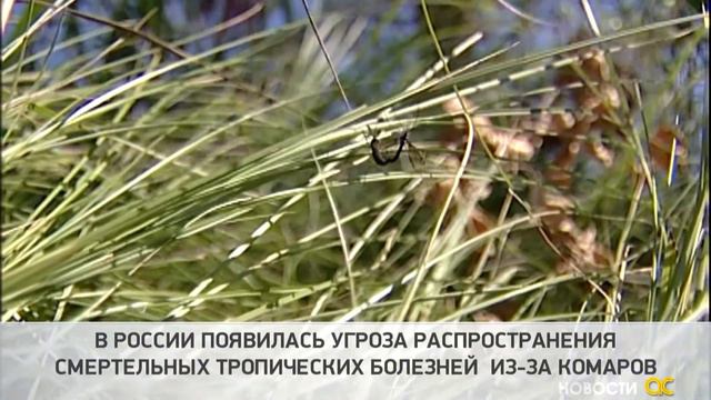 Новости 23.08.2019 смотреть онлайн