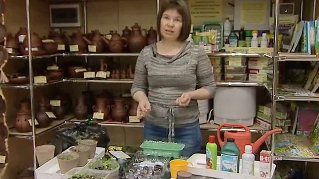 Посев мелких семян на рассаду смотреть онлайн