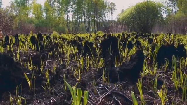 Александра Стеба "Карта памяти" смотреть онлайн