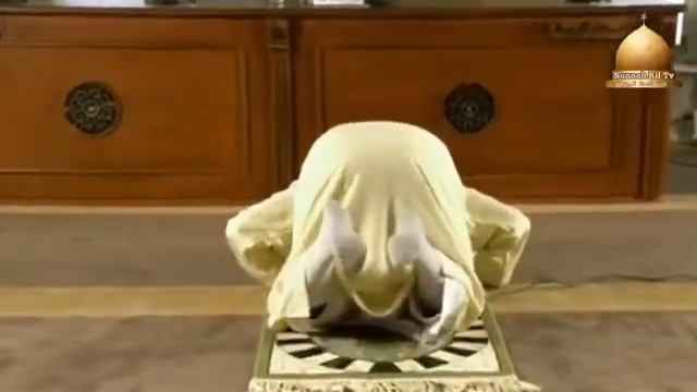 Salat sahiha rif смотреть онлайн
