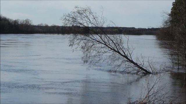 Весенняя река и Котлас смотреть онлайн