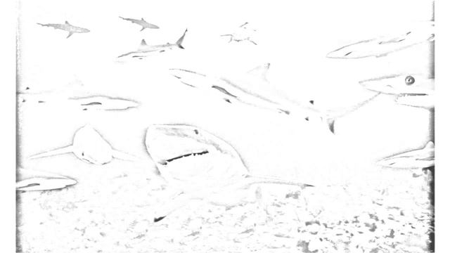 Auto Draw 2: Sharks смотреть онлайн