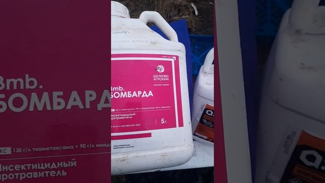 СУПЕР протравитель картофеля смотреть онлайн
