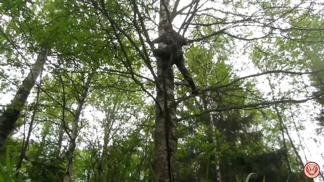 Ловушка на пчёл. Ловим бродячие рои пчёл. Повесил на тополь. Поля с сурепкой, приеду сюда ещё смотреть онлайн