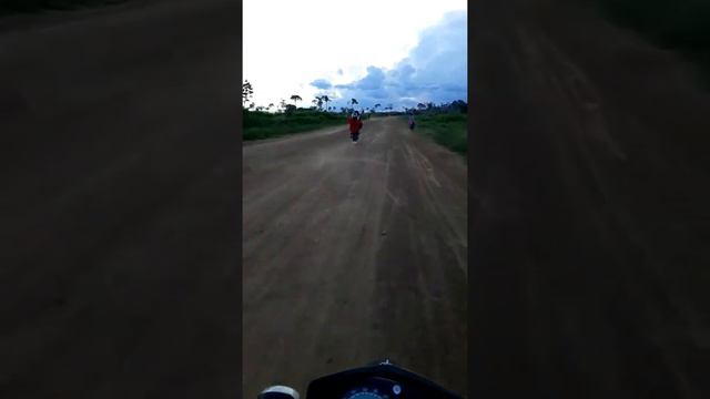 grau e corte @jose roberto: guariba milgrau смотреть онлайн